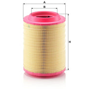 MANN-FILTER Engine Air Filter C 25 660/2