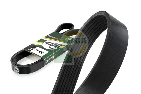 Bga Multi V-Ribbed Drive Belt 7PK1179E