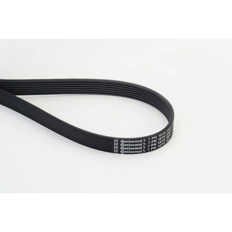 Continental CTAM Multi V-Ribbed Drive Belt 7PK1970