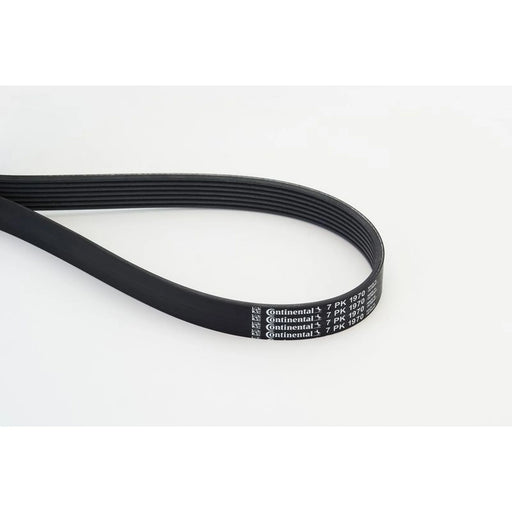 Continental CTAM Multi V-Ribbed Drive Belt 7PK1970