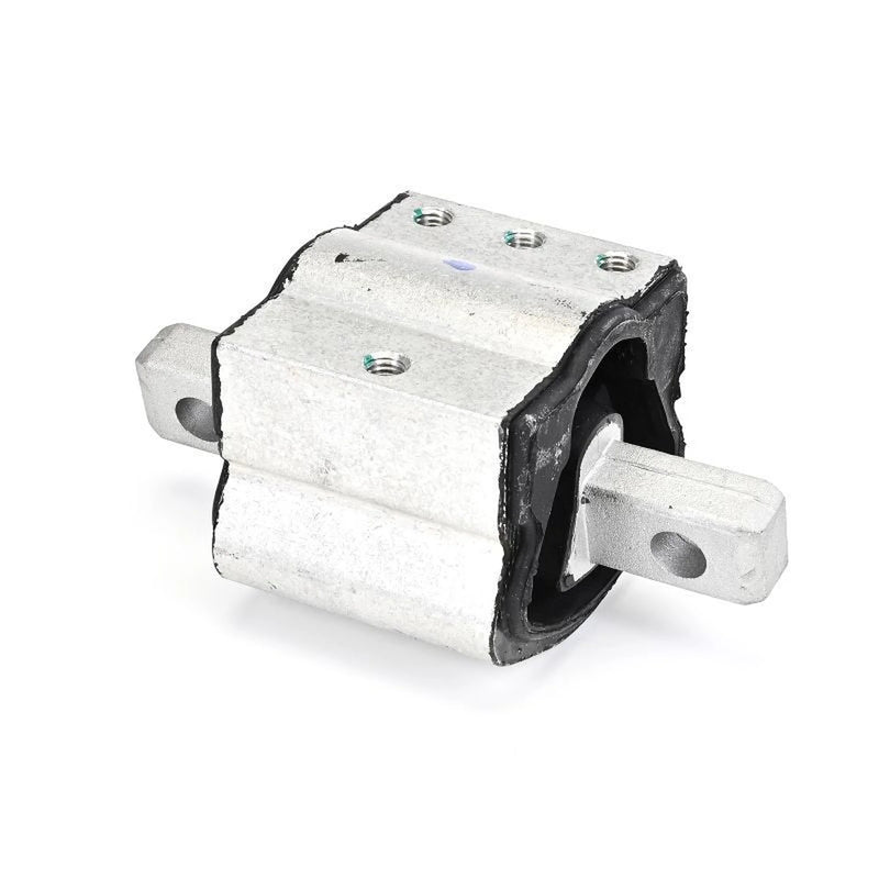 Delphi Engine Mount Mounting Right TEM259