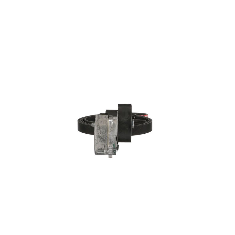 Gates K026PK1750 V-ribbed Belt Set