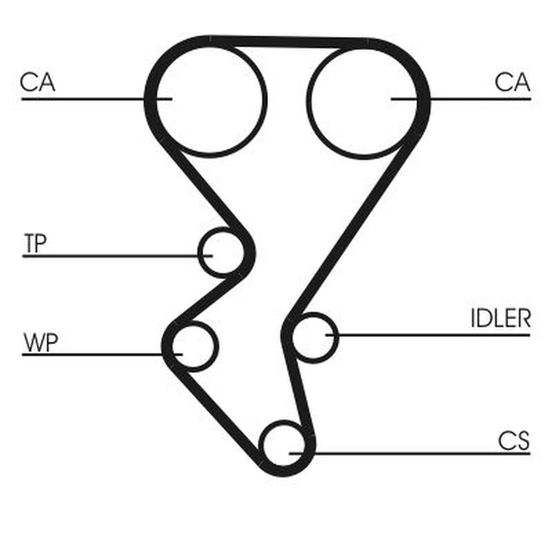 Continental CTAM Timing Belt Cambelt 137 Teeth CT1092