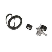 Gates V-Ribbed Belt Set K017PK1973
