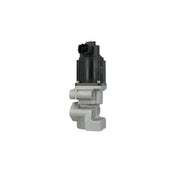 NRF Exhaust Gas Recirculation Valve 48675