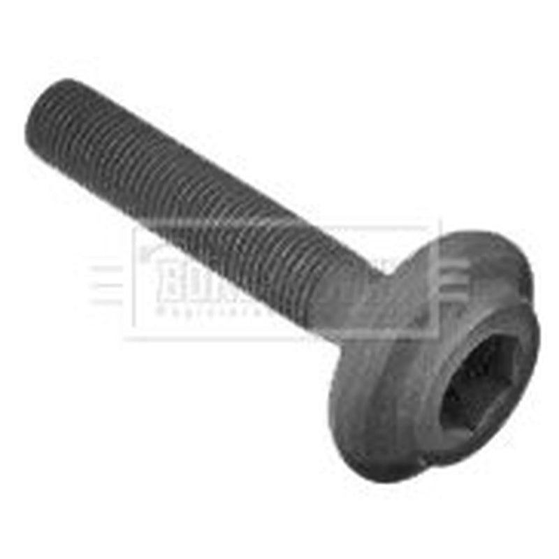 Borg & Beck Kingpin Nut OD Thick Front BHN219