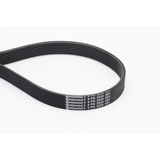 Continental CTAM Multi V-Ribbed Drive Belt 8PK2035