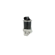 NRF Exhaust Gas Recirculation Valve 48629
