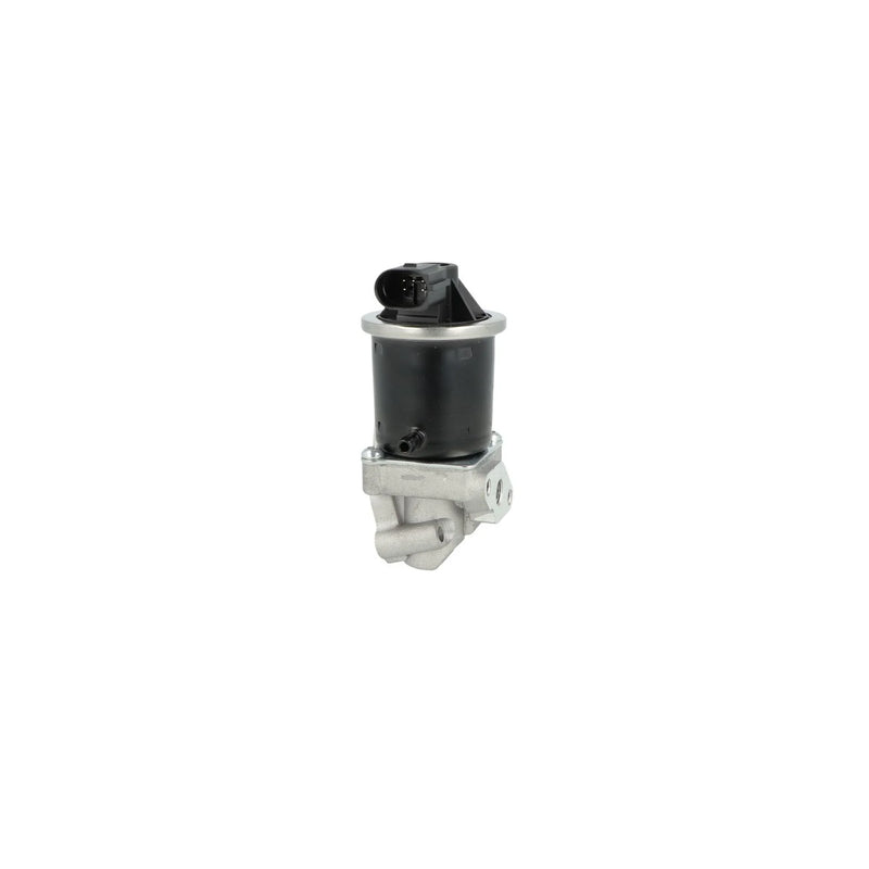 NRF Exhaust Gas Recirculation Valve 48629