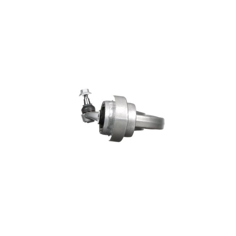 Delphi Control/Trailing Arm Rear TC3445