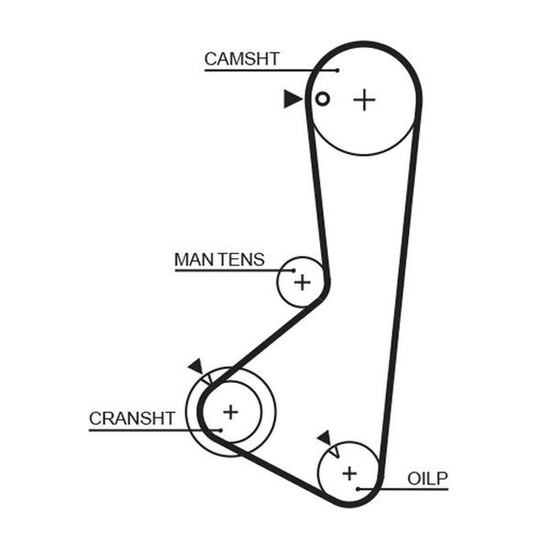 Gates Timing Belt Cambelt 122 Teeth 5256XS