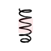 Apec Rear Suspension Coil Spring ACS1875