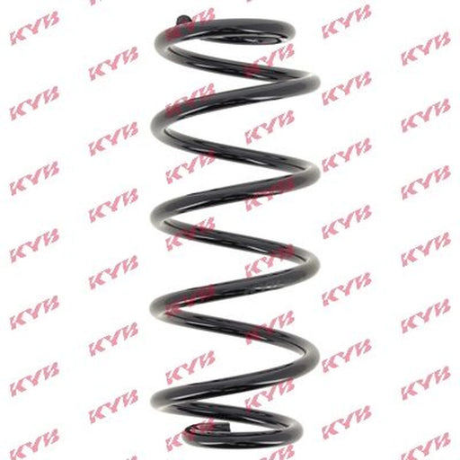 KYB Rear Suspension Coil Spring RA6248