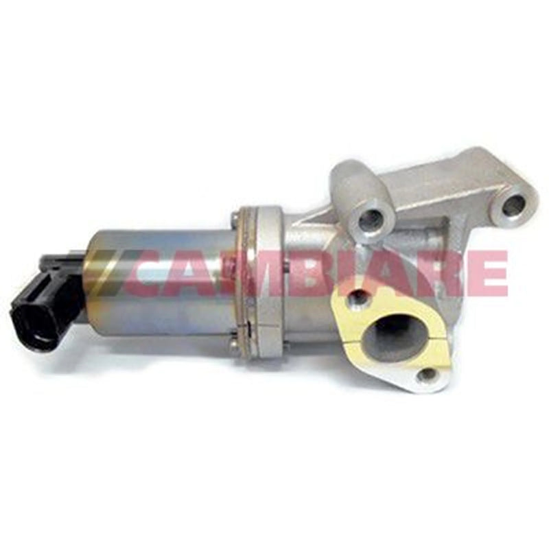 Cambiare Exhaust Gas Recirculation Valve VE360225