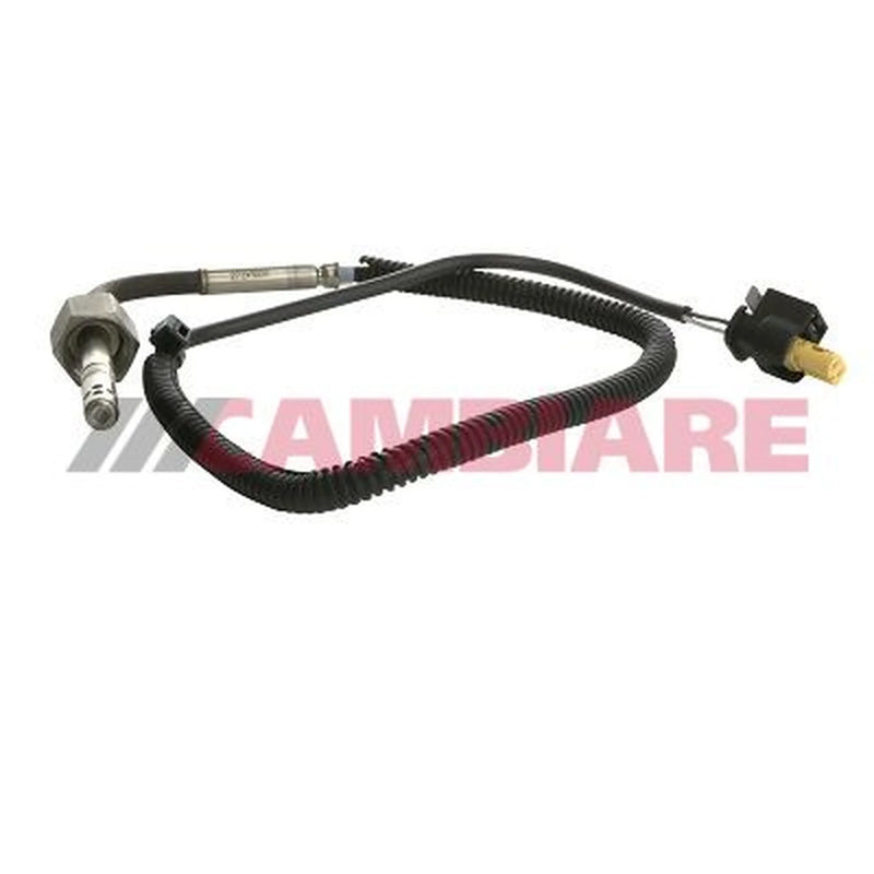 Cambiare Exhaust Gas Temperature Sensor VE390209