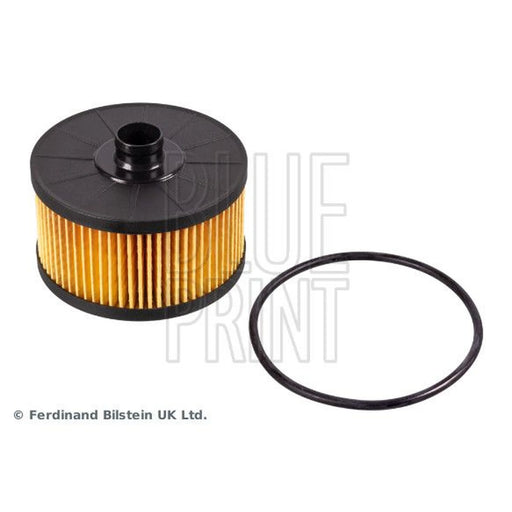Blue Print Engine Oil Filter ADN12134