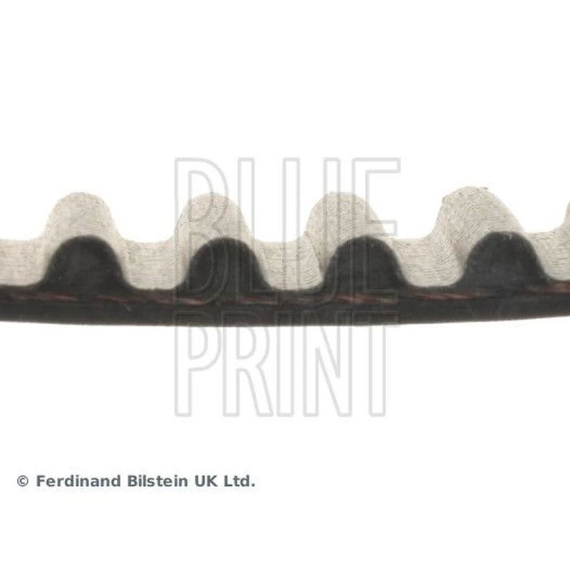 Blue Print Timing Belt Cambelt 234 Teeth ADC47544