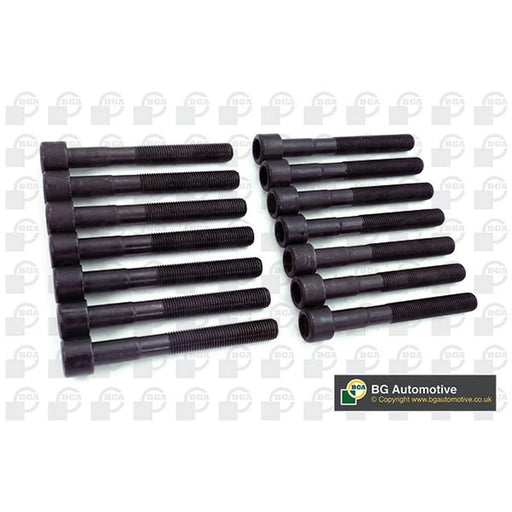 BGA Cylinder Head Bolt Set M11 BK5337