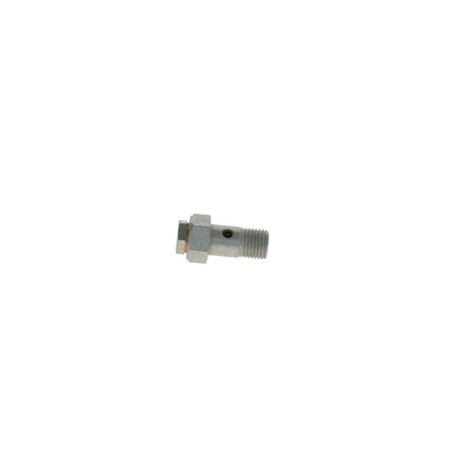 Bosch Fuel Injection Control Valve 2 417 413 101