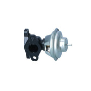 NRF Exhaust Gas Recirculation Valve 48614