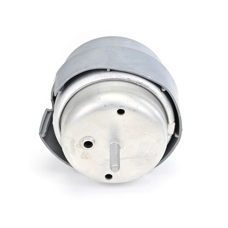 Delphi Engine Mount Mounting Front TEM288
