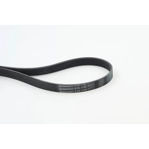 Continental CTAM Multi V-Ribbed Drive Belt 6PK1100