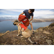 Ruffwear Palisades Dog Backpack in Red Sumac (L / XL) - Ruffwear - Van Life Living