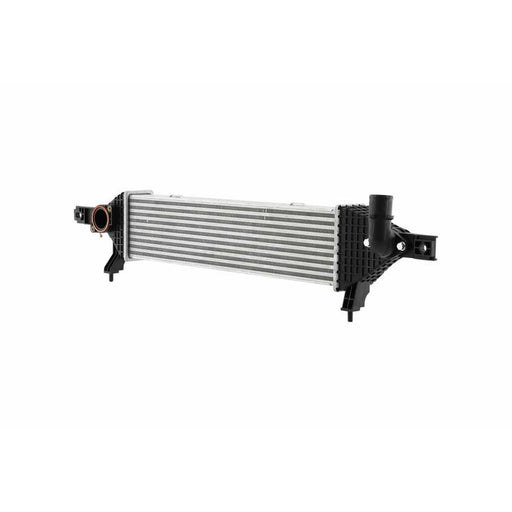 Hella Intercooler (Charge Air Cooler) 8ML 366 470-901