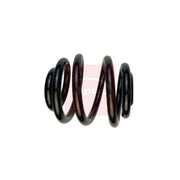 Apec Rear Suspension Coil Spring ACS1922