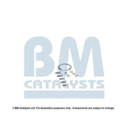 BM Catalysts Fitting Kit FK11311B FK11311B