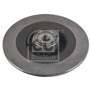 Febi 2 x Solid Rear Brake Discs 44018-x2
