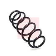 Apec Rear Suspension Coil Spring ACS2431