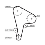 Gates Timing Belt Cambelt 143 Teeth 5190