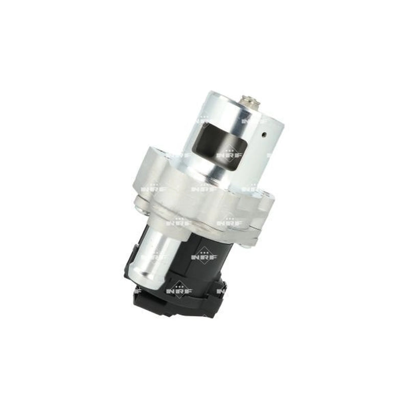 NRF Exhaust Gas Recirculation Valve 48741