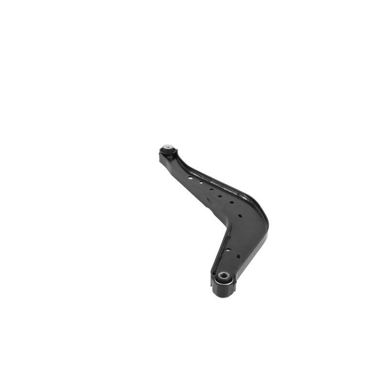 Delphi Control/Trailing Arm Rear TC7009