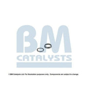 BM Catalysts Fitting Kit FK11243A FK11243A