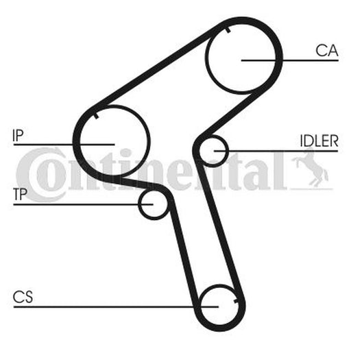 Continental CTAM Timing Belt Cambelt 145 Teeth CT917
