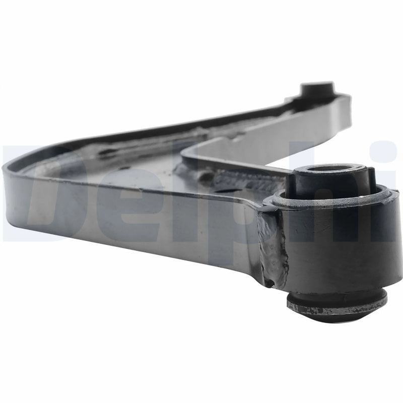 Delphi Control/Trailing Arm Rear TC7010