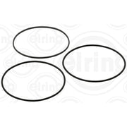 Elring Cylinder Liner Gasket Set Thick 216.941