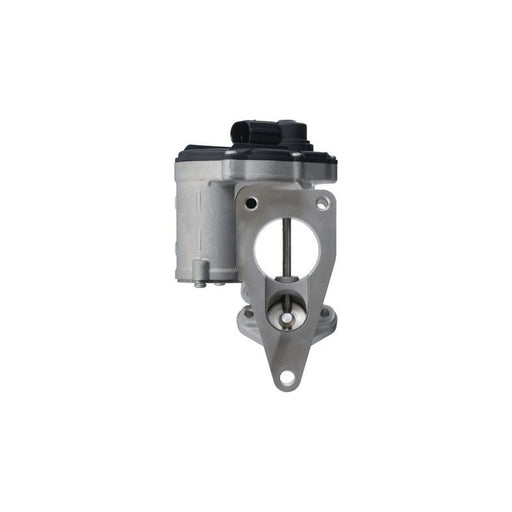 Valeo Exhaust Gas Recirculation Valve 703249