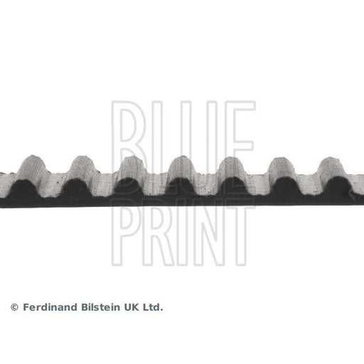 Blue Print Timing Belt Cambelt 146 Teeth ADA107503