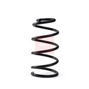 Apec Front Suspension Coil Spring ACS2186
