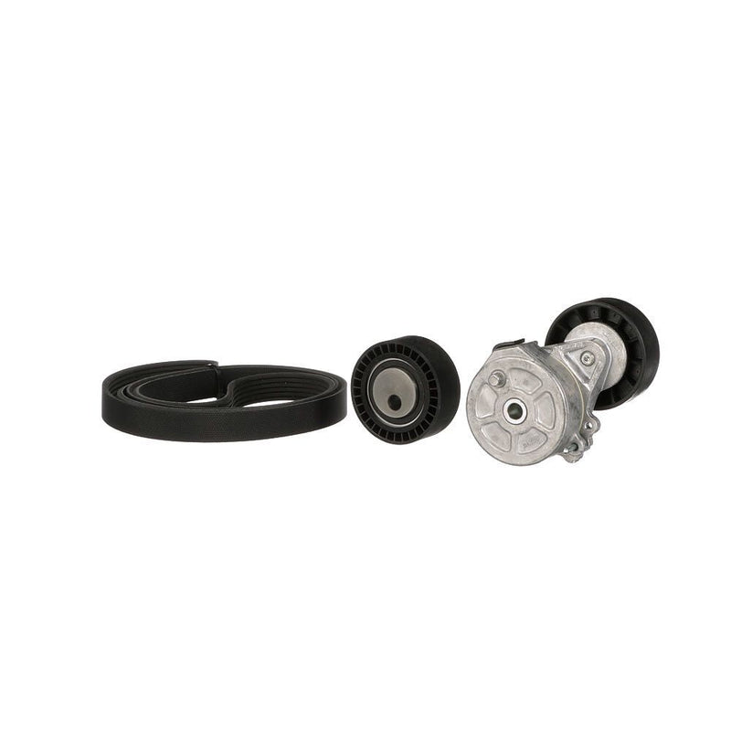 Gates K026PK1750 V-ribbed Belt Set