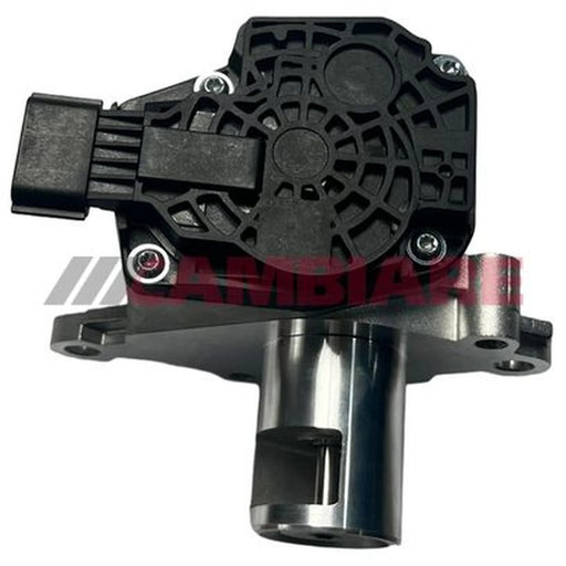Cambiare Exhaust Gas Recirculation Valve VE360550