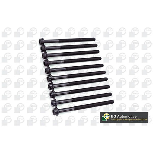 BGA Cylinder Head Bolt Set M11 BK6315
