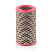 MANN-FILTER Engine Air Filter C 1589/2