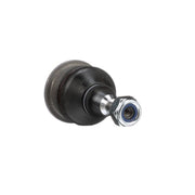 Delphi Ball Joint Lower TC1236
