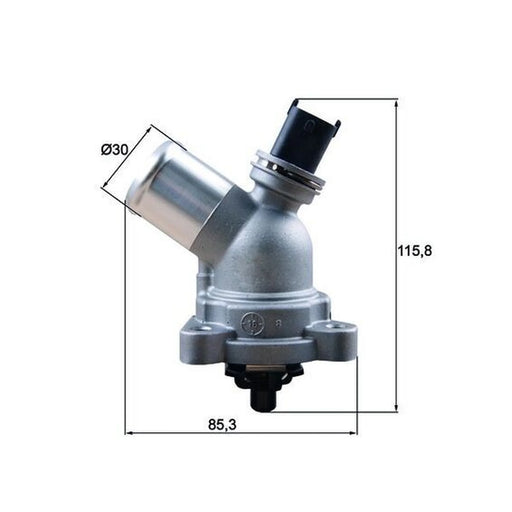 Mahle Thermostat,Coolant TM 43 105