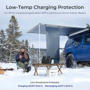 Renogy Rover Lite 12V/ 24V/ 36V/ 48V 60A MPPT Solar Charge Controller - Dyna-mo Solar - Van Life Living